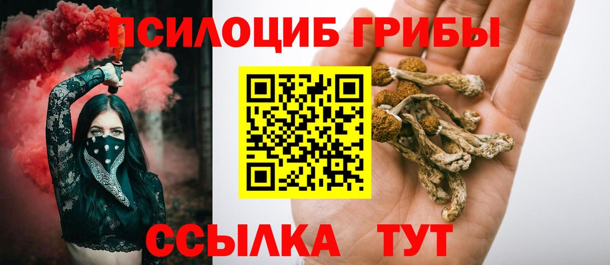 Псилоцибиновые грибы MAGIC MUSHROOMS Моздок
