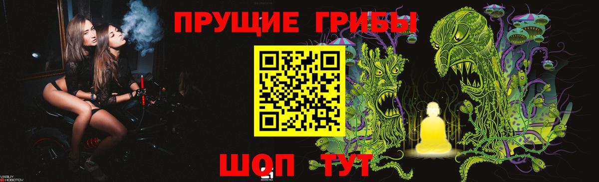 Моздок  Псилоцибиновые грибы мицелий  Вход с VPN 
